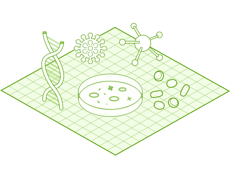 Biological Insight Generation